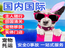 阿尔山伊尔施空运地址国际宠物托运 【国